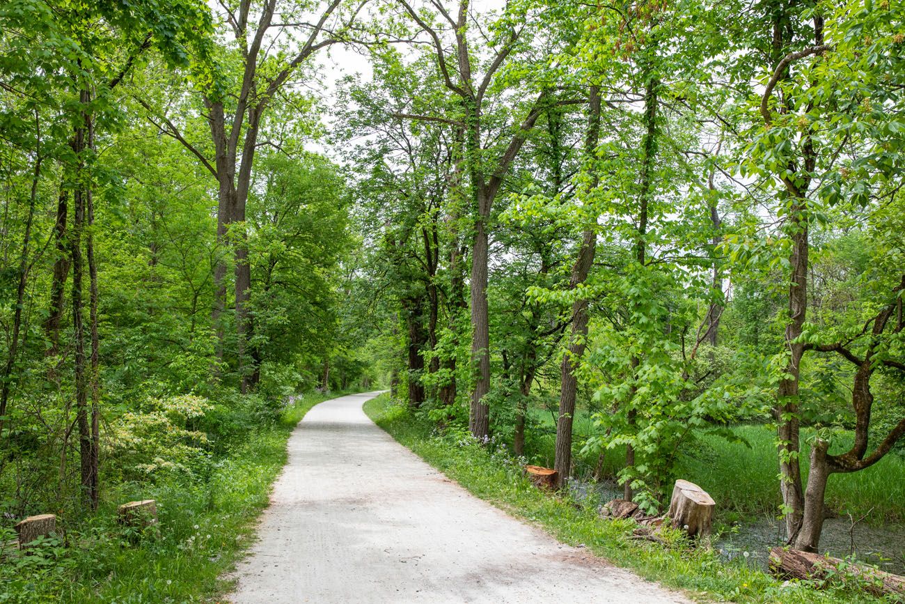 Cuyahoga Towpath