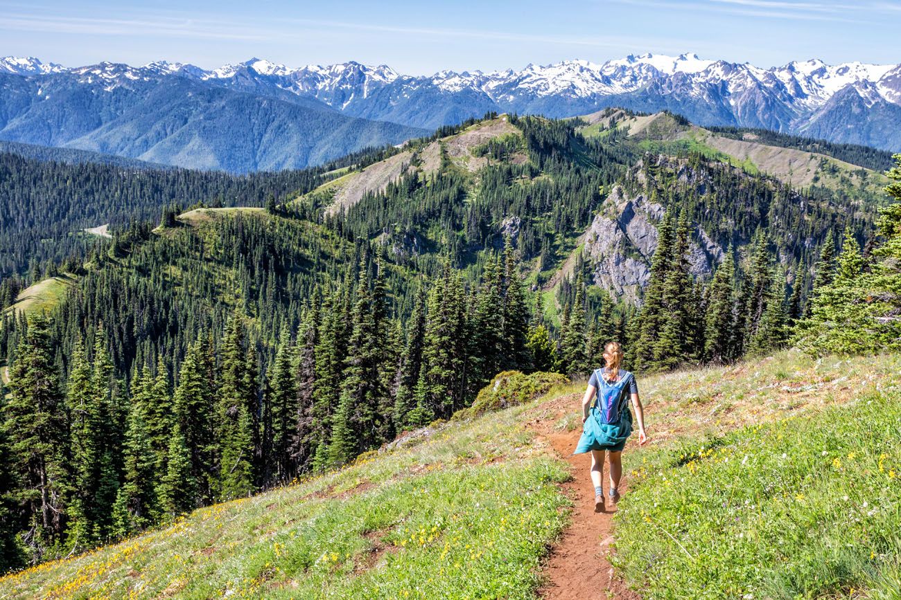 Hurricane Ridge