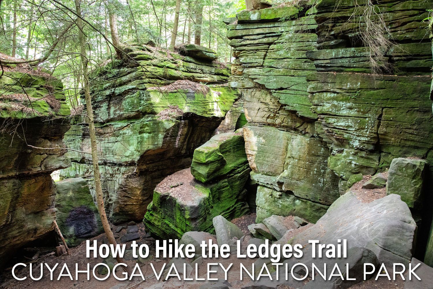 Ledges Trail Cuyahoga Valley