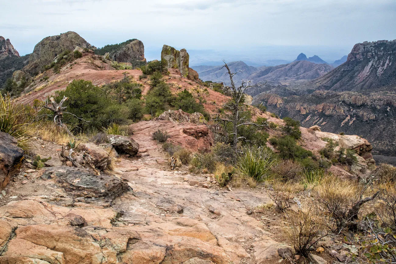 Lost Mine Trail