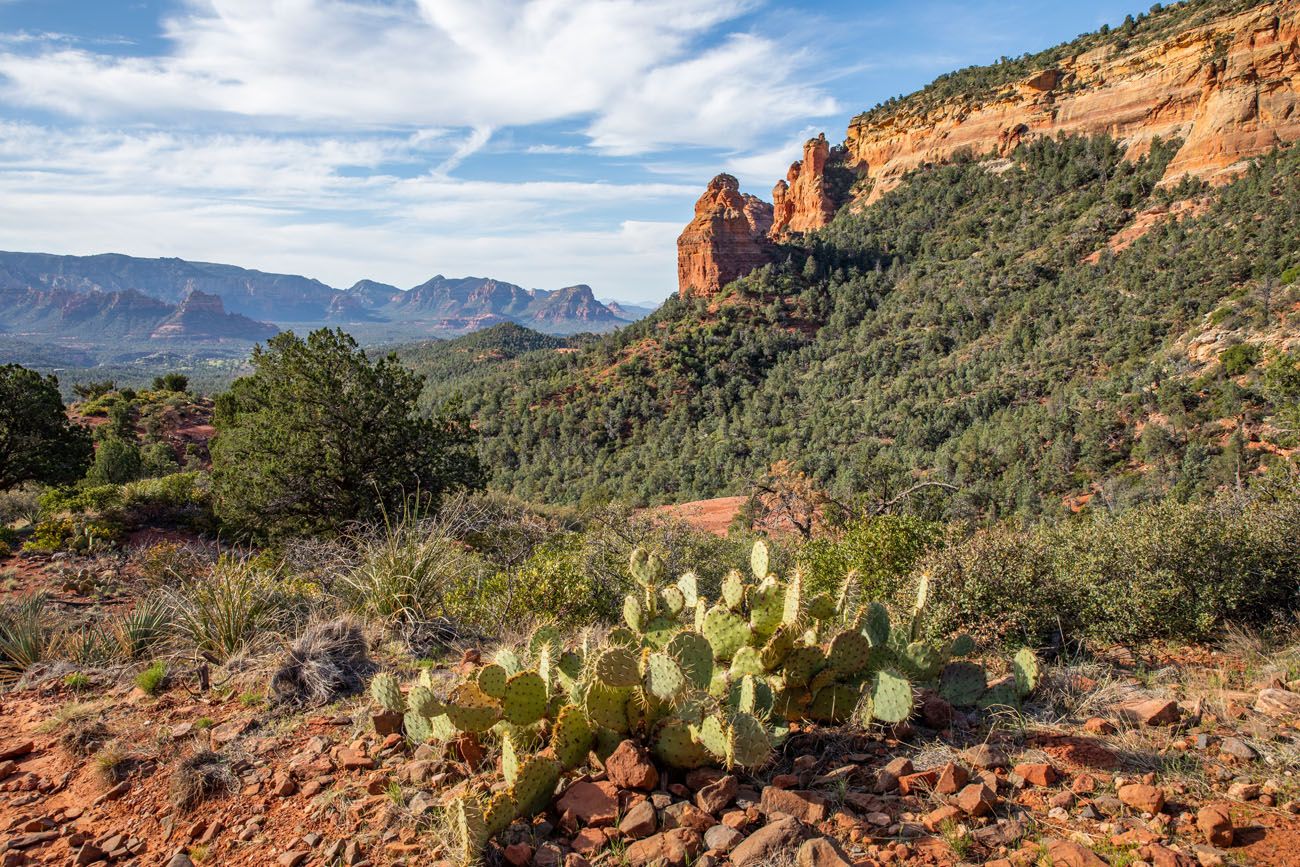 Sedona Hiking View Brins Mesa - Soldier Pass Loop