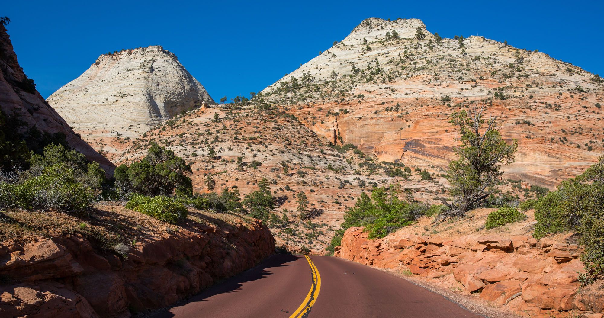 Zion Mount Carmel Highway