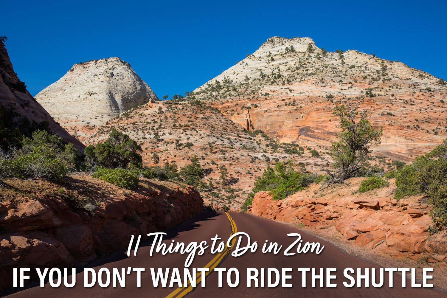 Zion No Shuttle