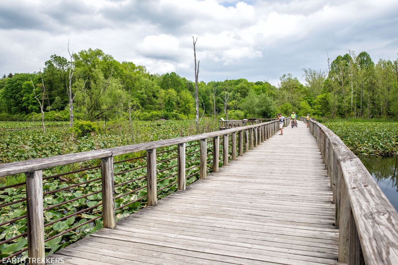 Beaver Marsh one day in Cuyahoga Valley