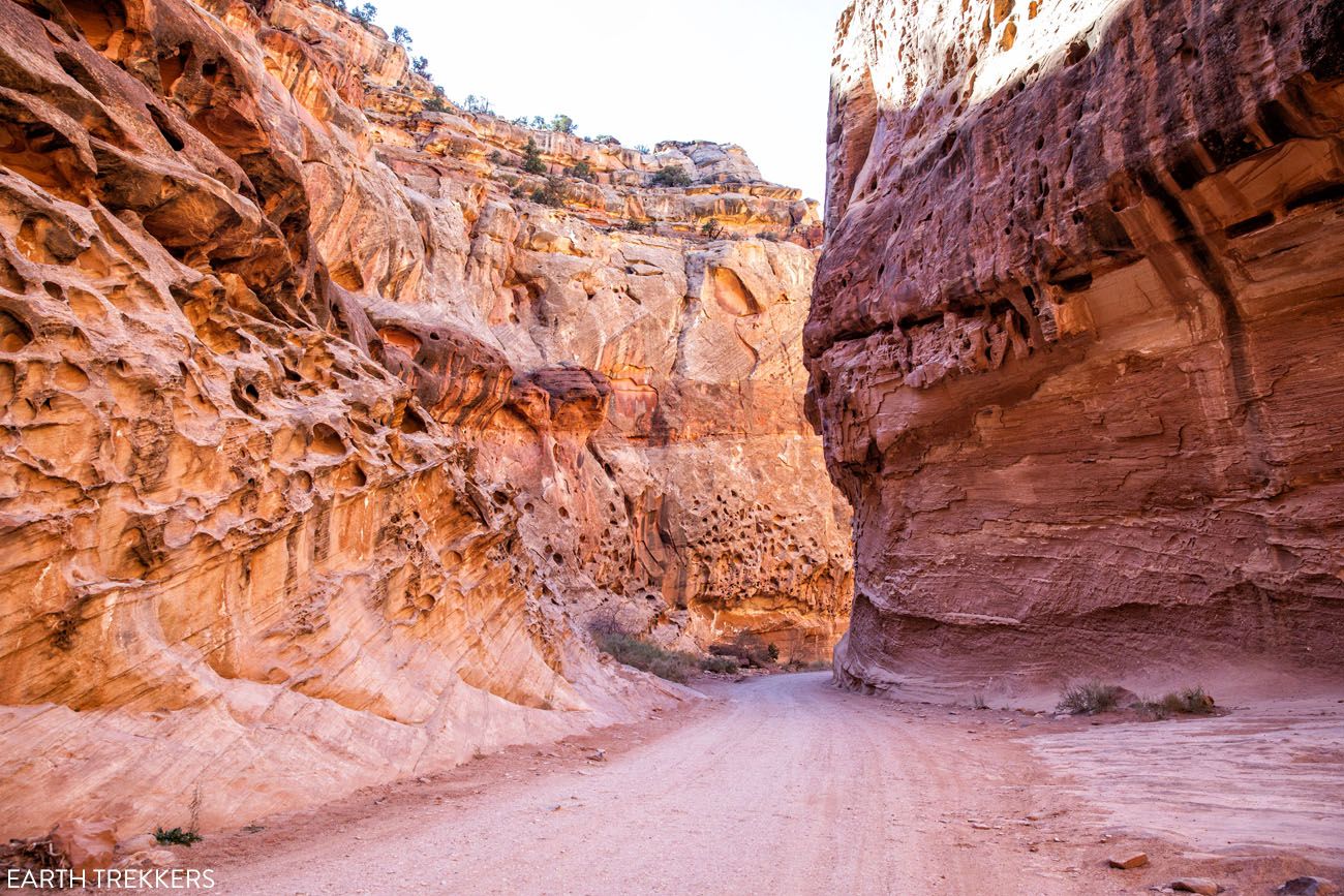 Capitol Gorge Road