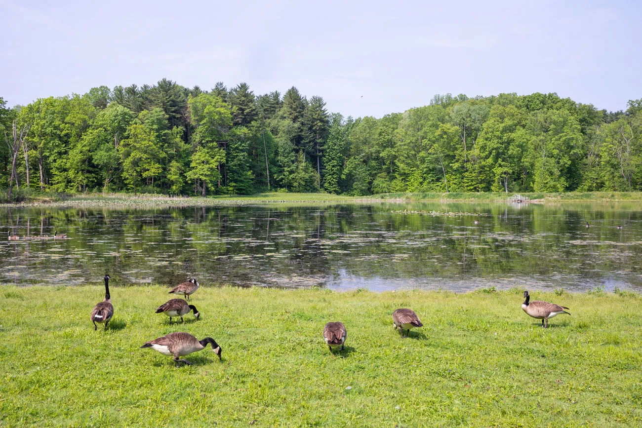 Kendall Lake one day in Cuyahoga Valley