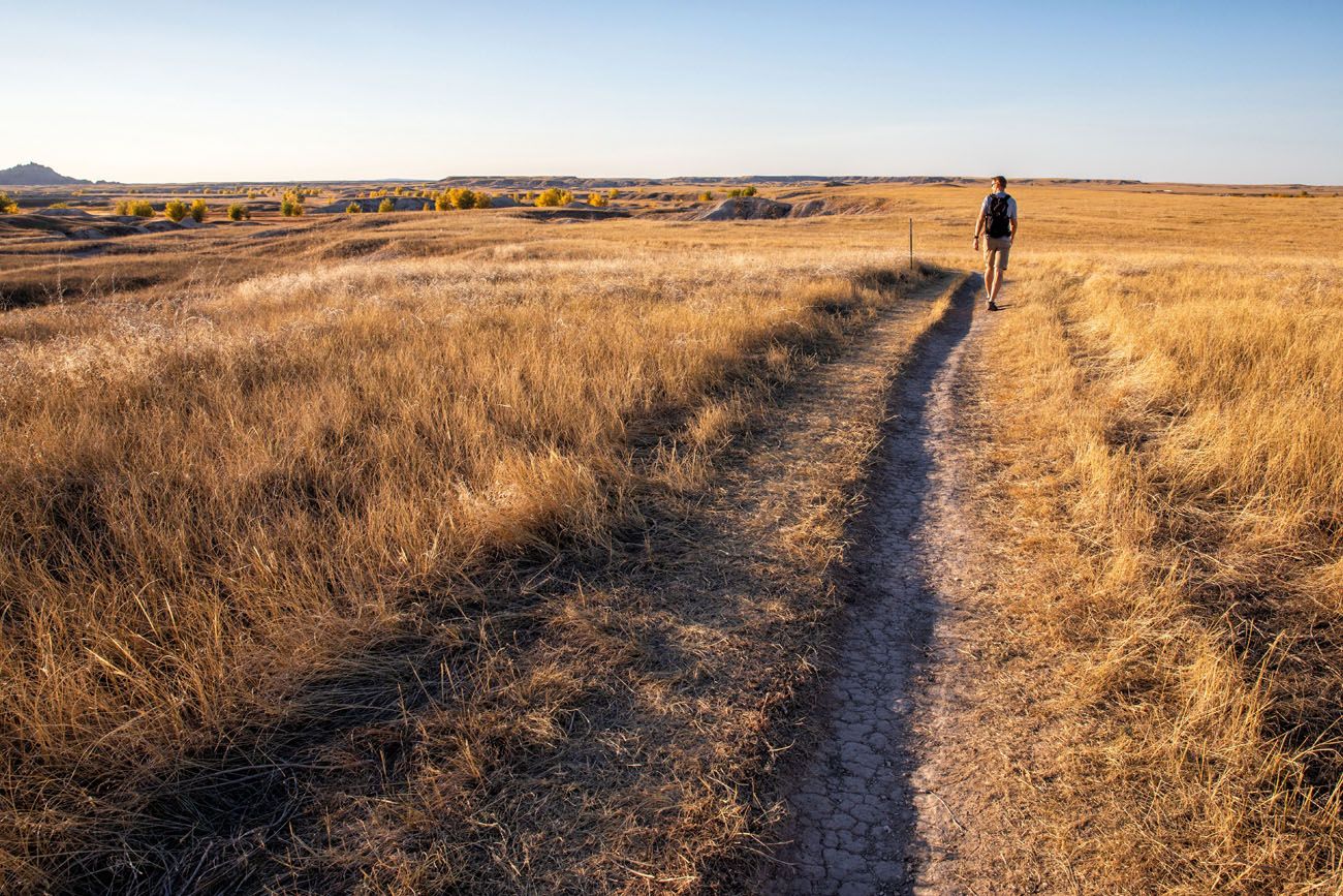 Medicine Root Trail