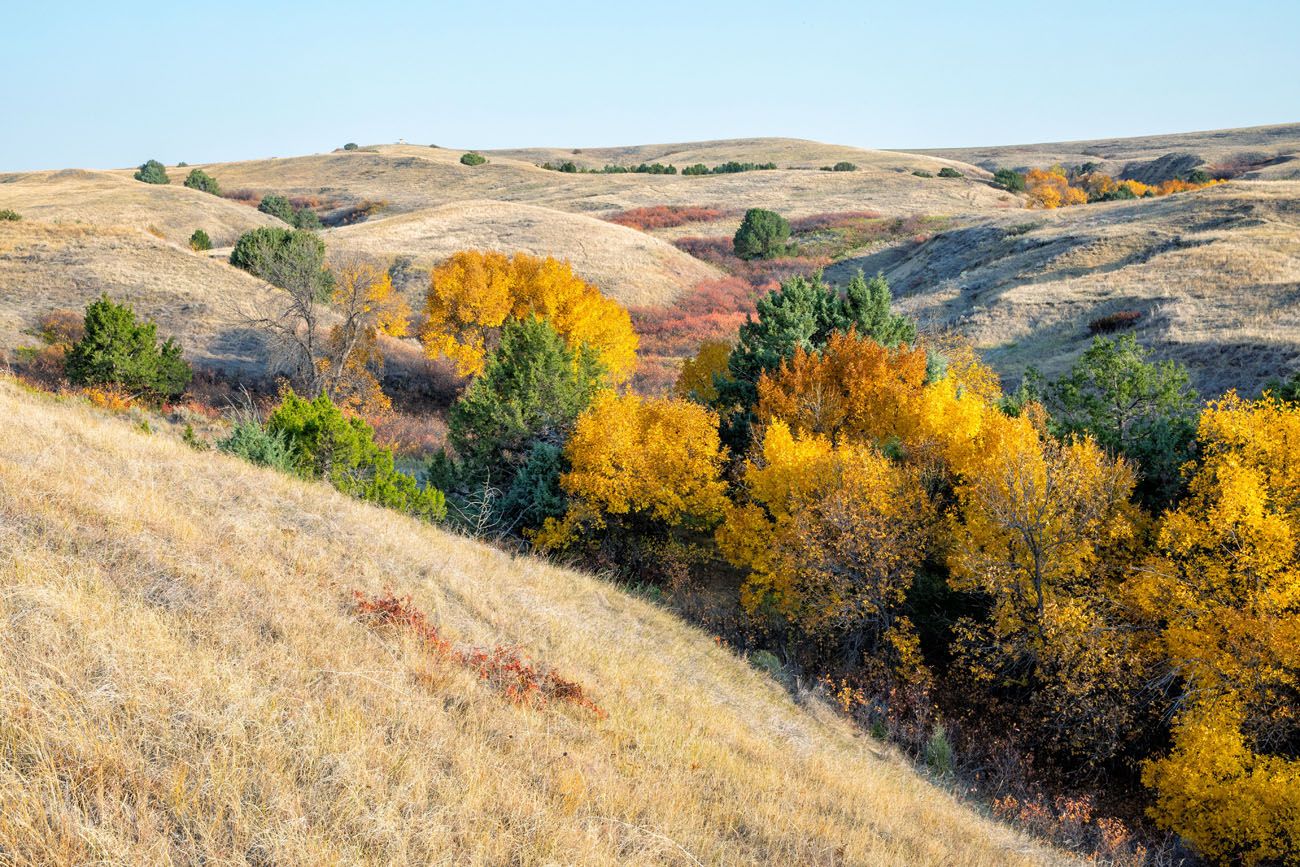 Sage Creek Wilderness Badlands | Best National Parks in October