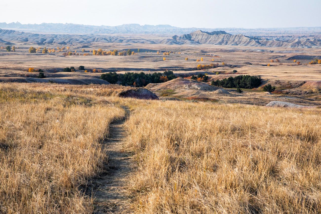 Sage Creek Wilderness Trail