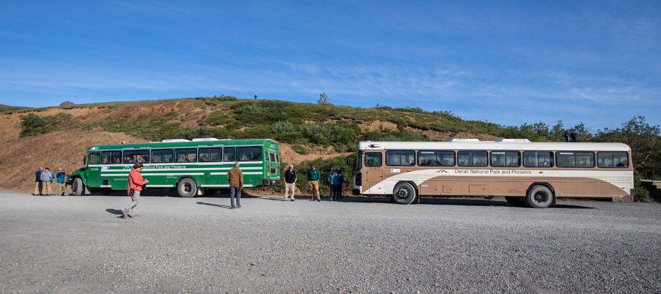 Denali Buses to Eielson