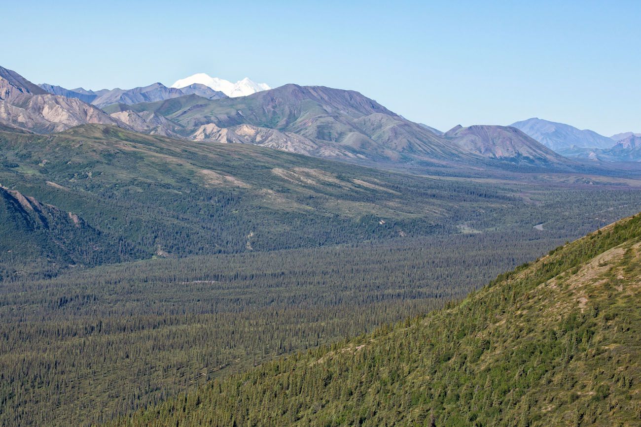 Another Denali View