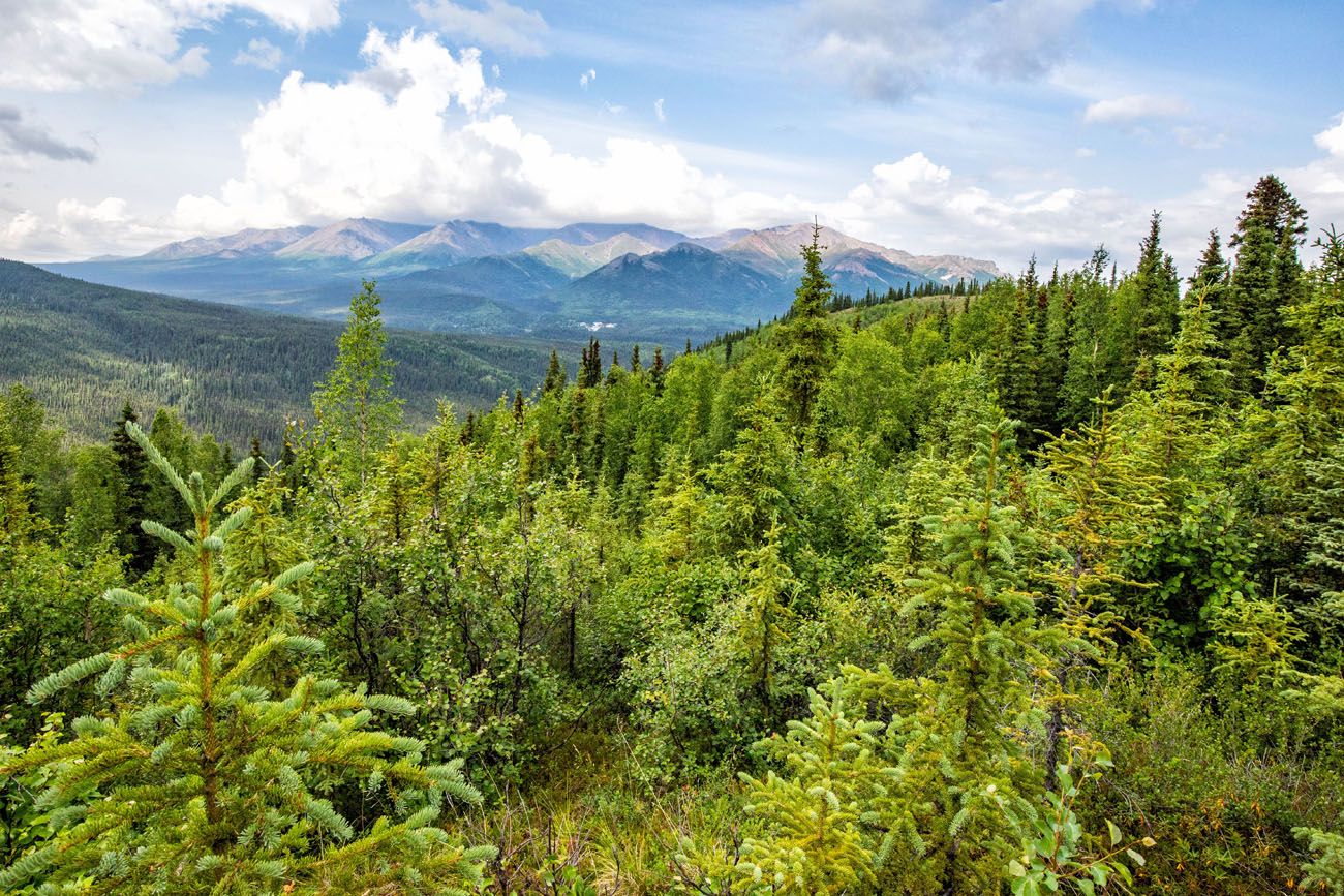 Another View from the Trail