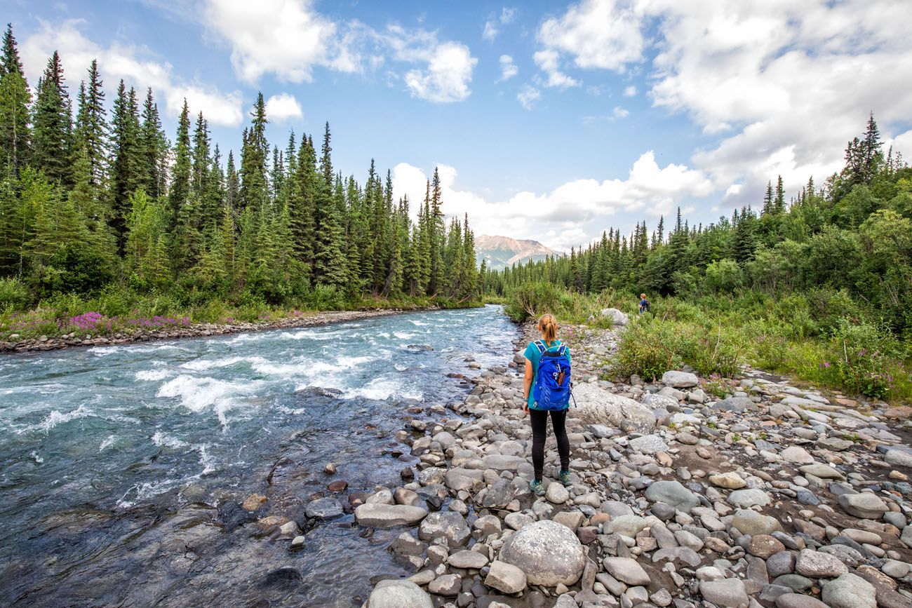 Best Hikes in Denali