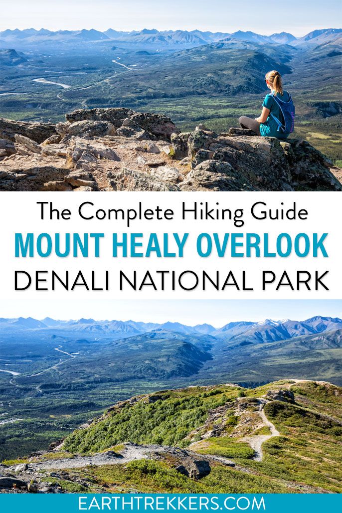 Denali Mount Healy Overlook Hike