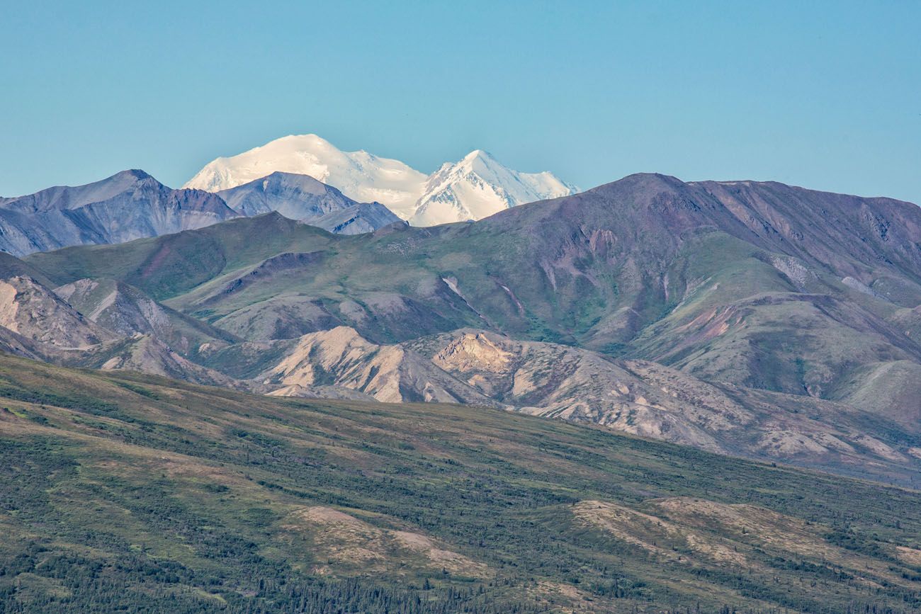 Denali from Healy Overlook