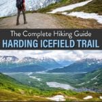 Harding Icefield Hike Kenai Fjords