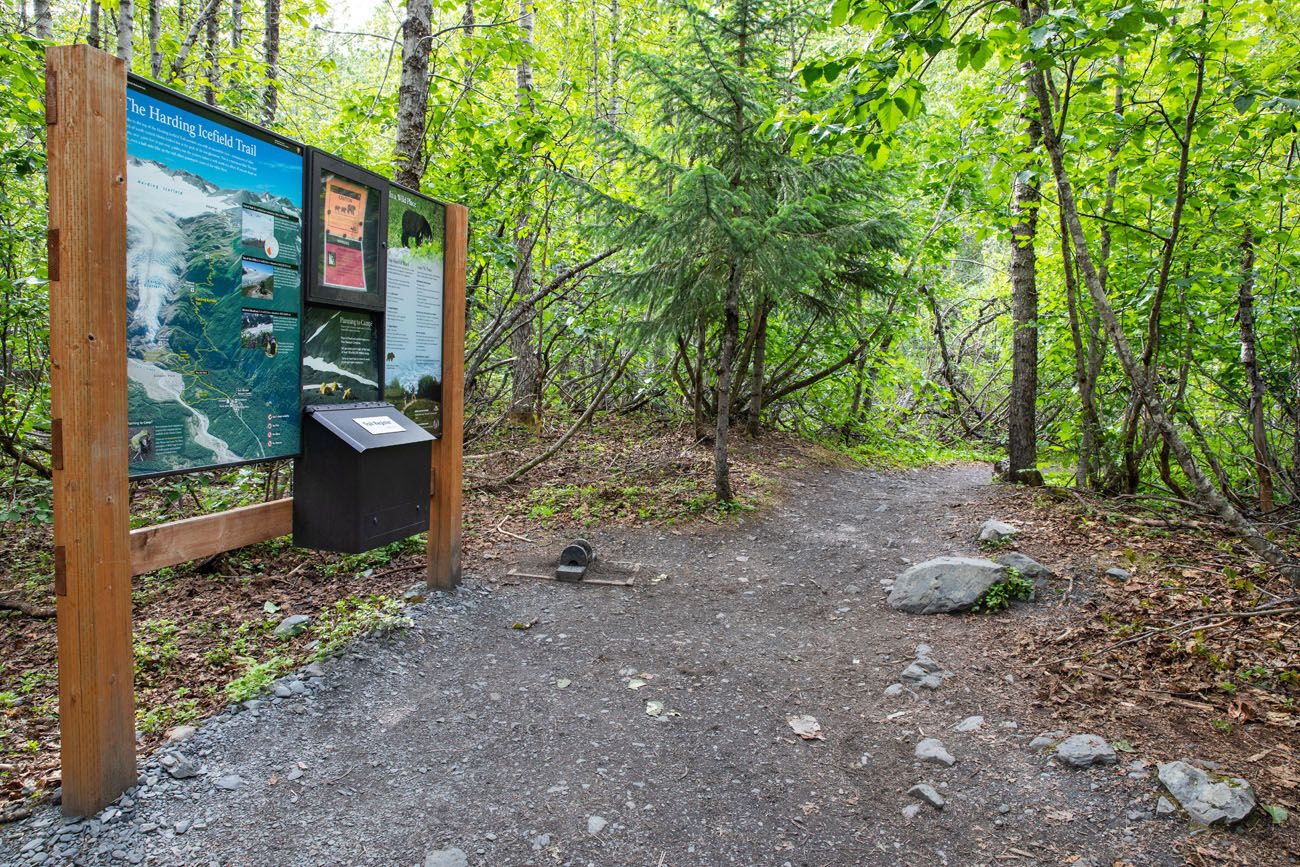 arding Icefield Trailhead