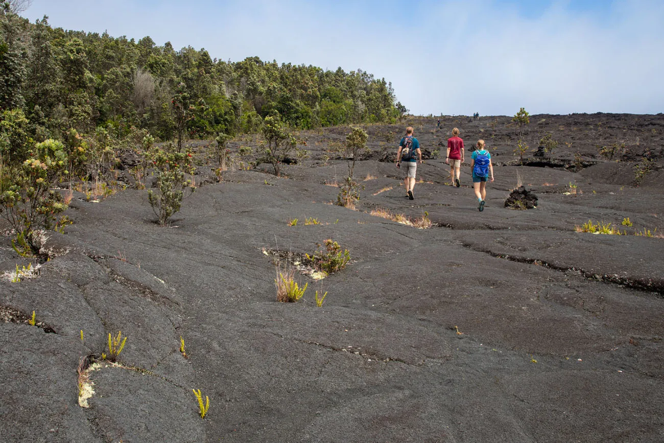 Hawaii Volcanoes Hike things to do in Hawai'i Volcanoes National Park