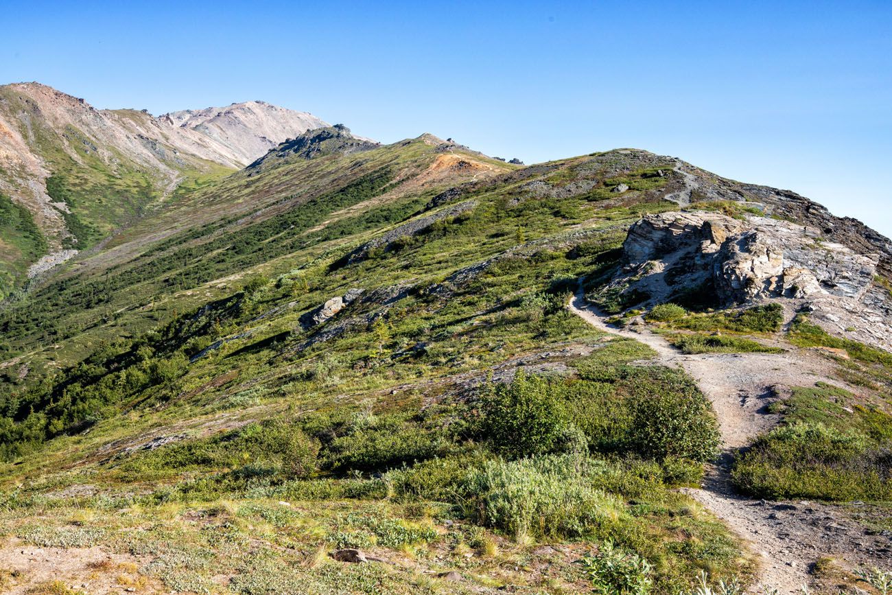 Hiking Trail Denali