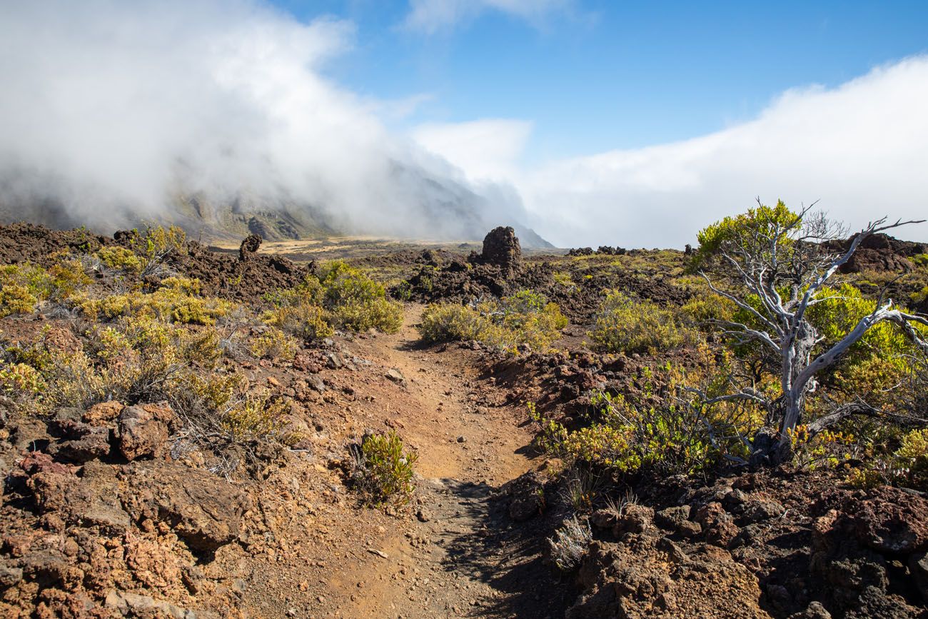 Hiking Trail