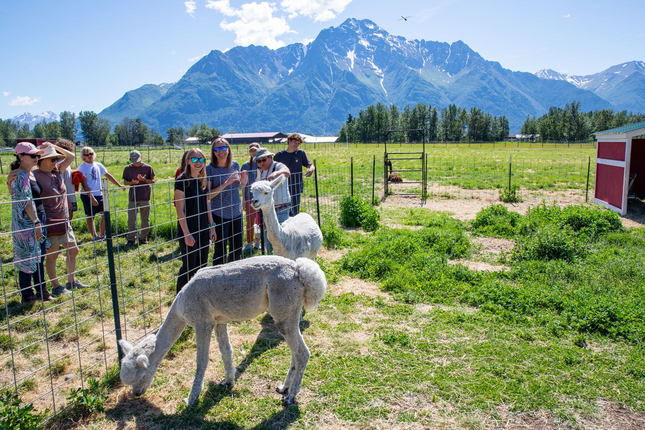 Julie Kara Reindeer Farm