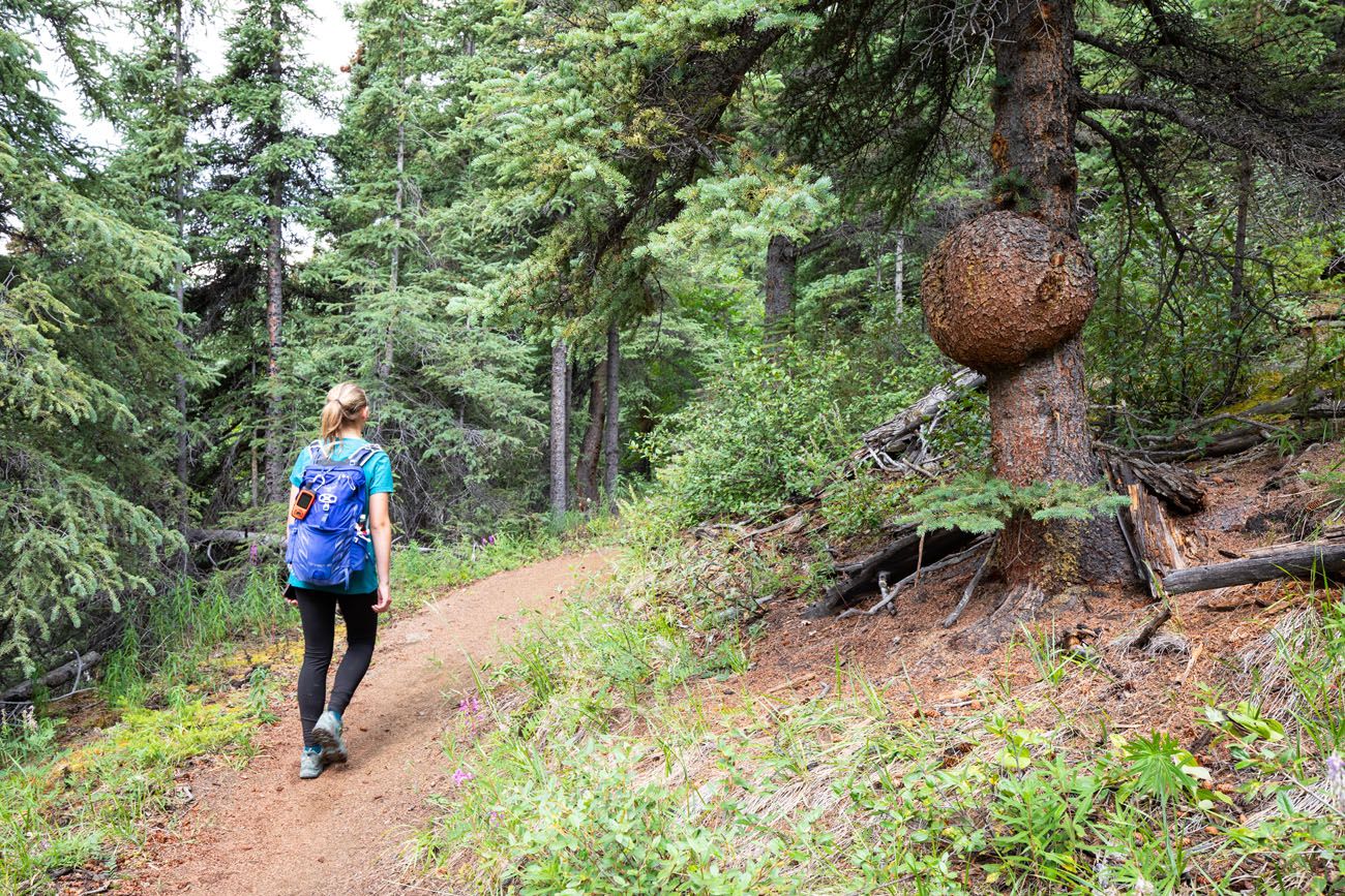 Kara on the Trail