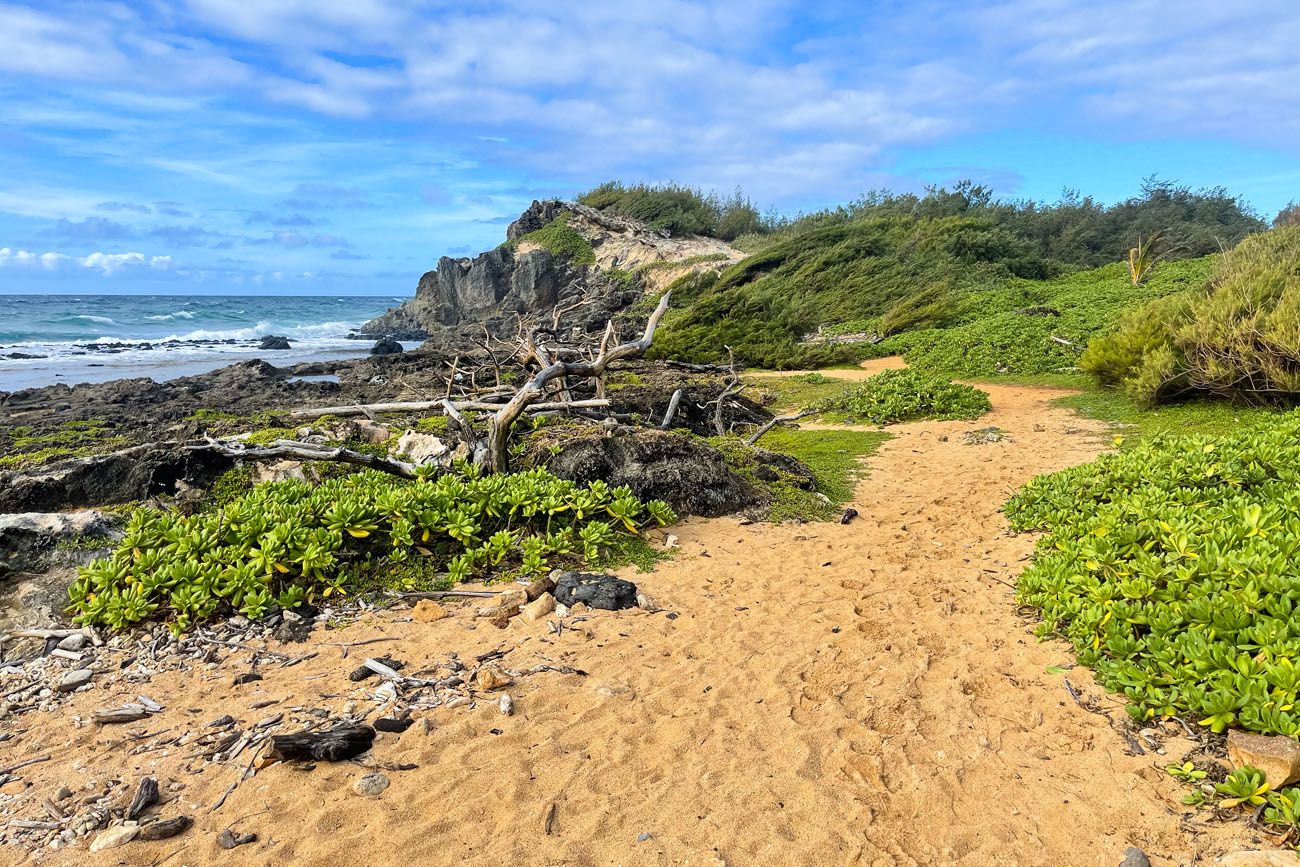 Mahaulepu Trail