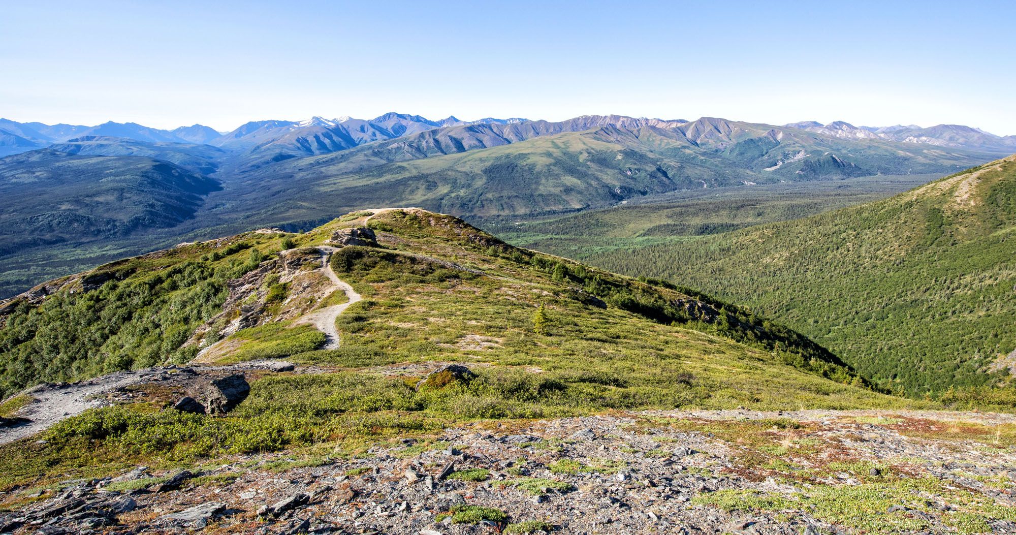 Mount Healy Overlook Trail