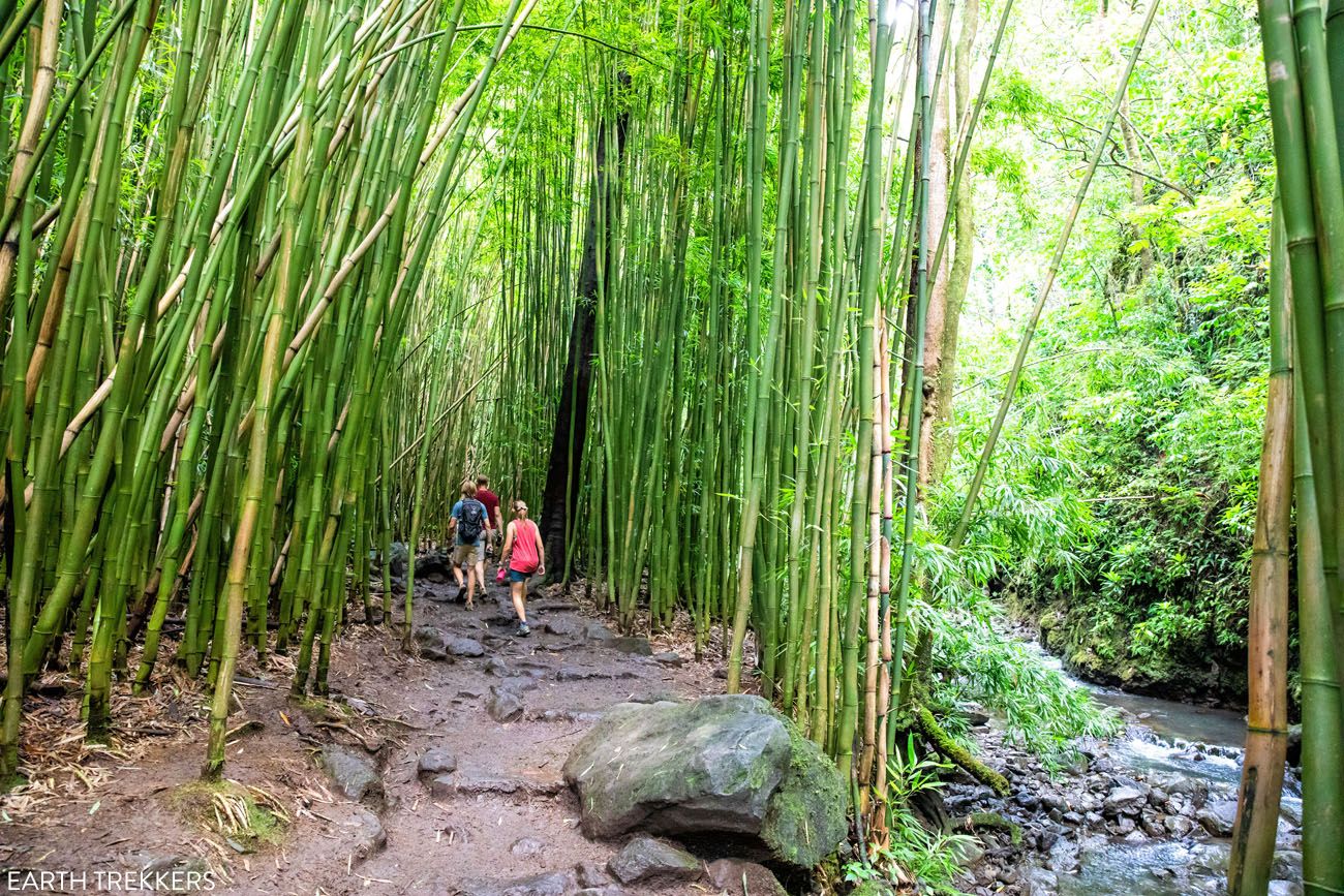 Pipiwai Trail best things to do in Haleakala National Park