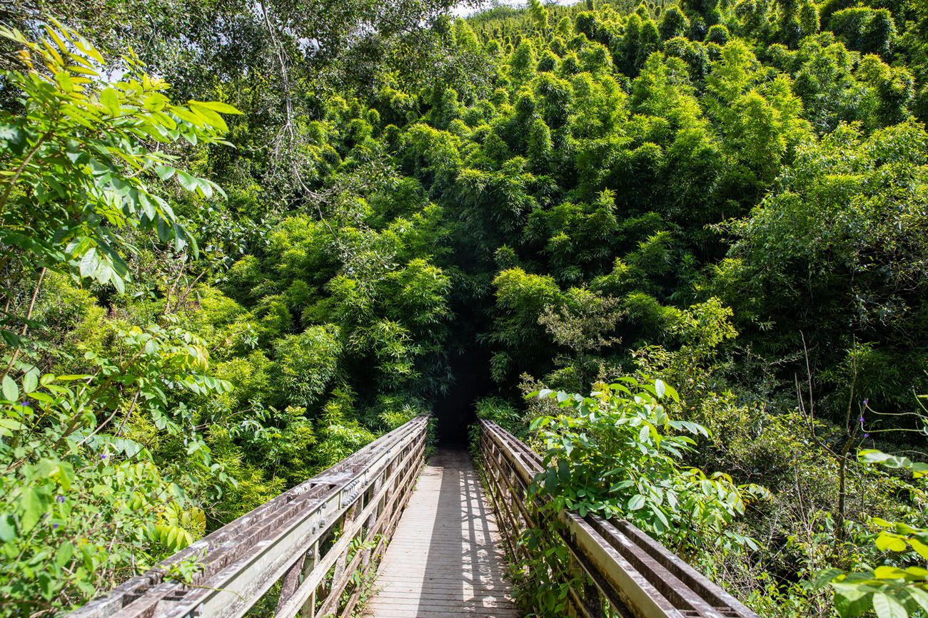 Pipiwai Trail Bridge