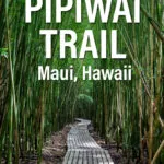Pipiwai Trail Haleakala Maui Hawaii
