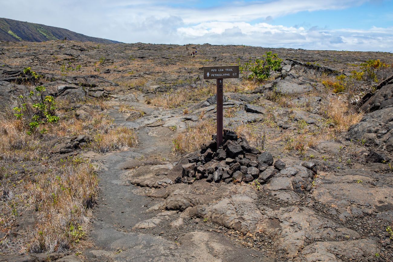 Puuoloa Petroglyph Hike things to do in Hawai'i Volcanoes National Park