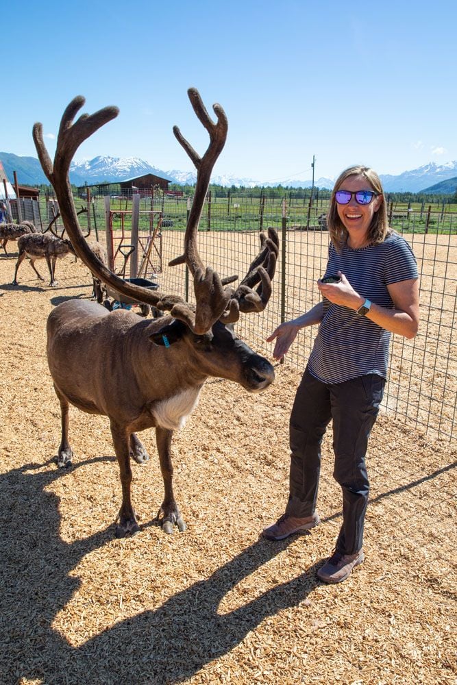 Reindeer Farm