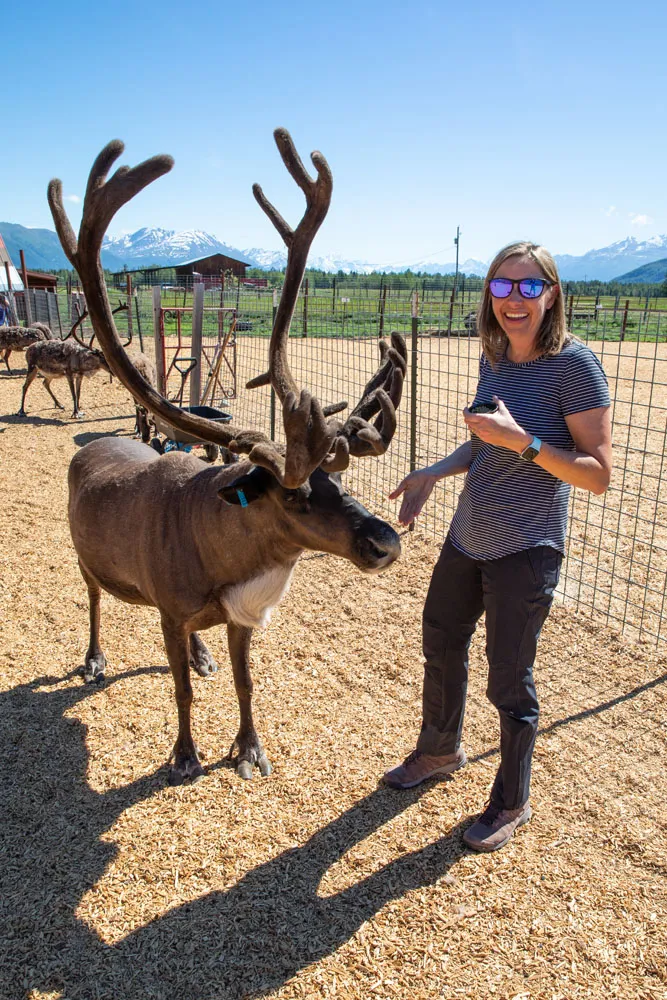 Reindeer Farm