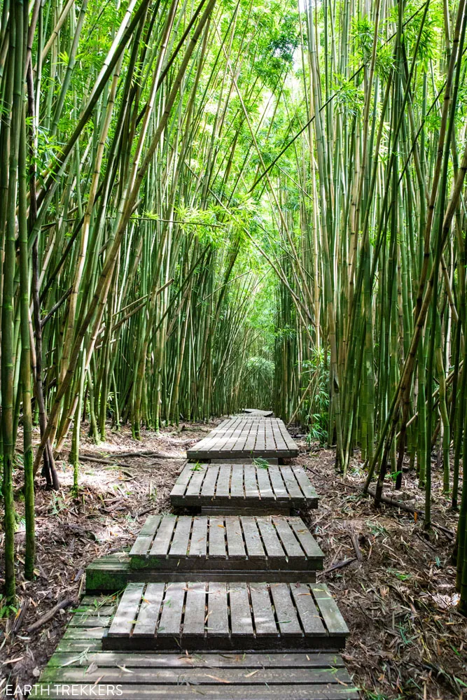 Road to Hana Hike