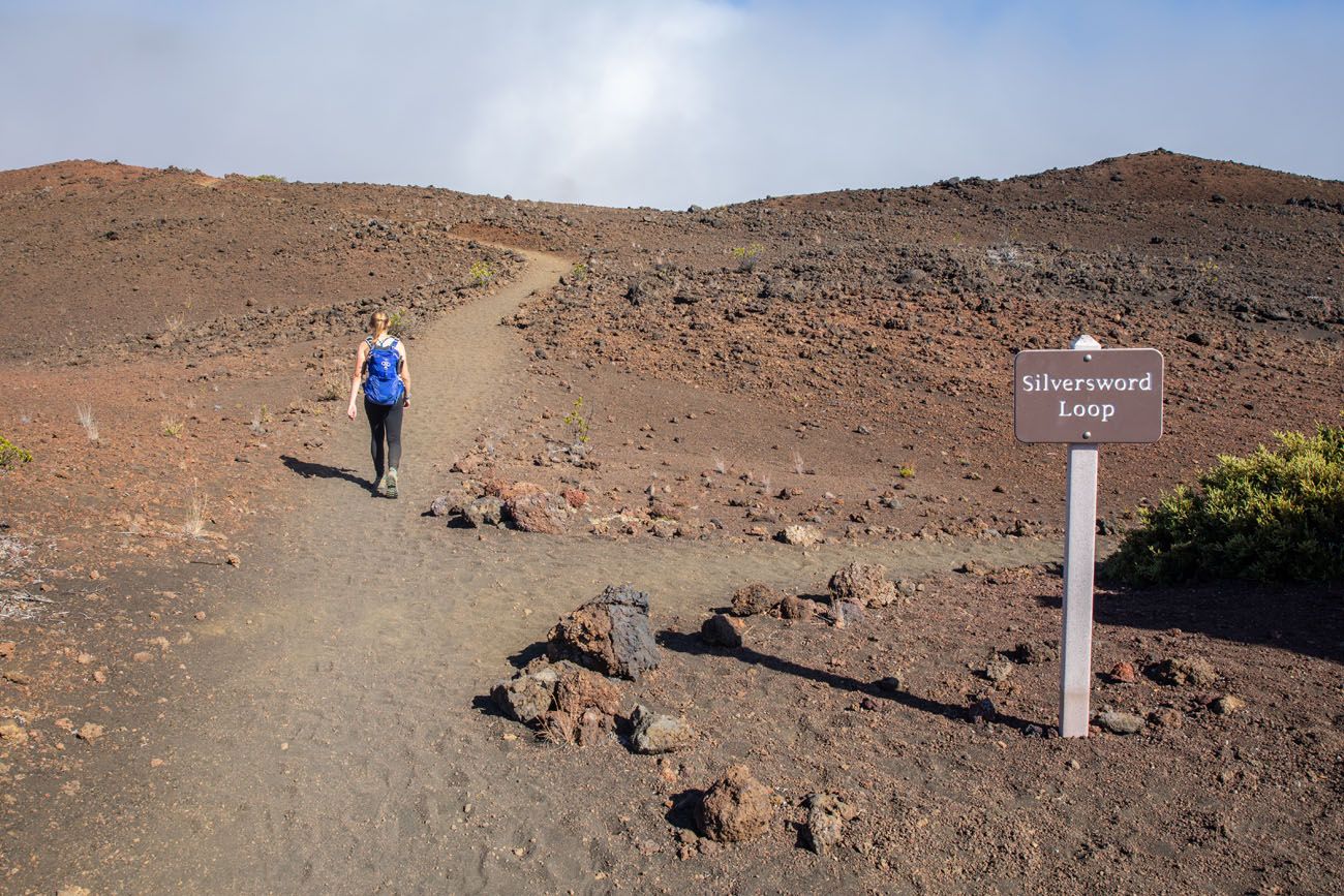 Silversword Loop