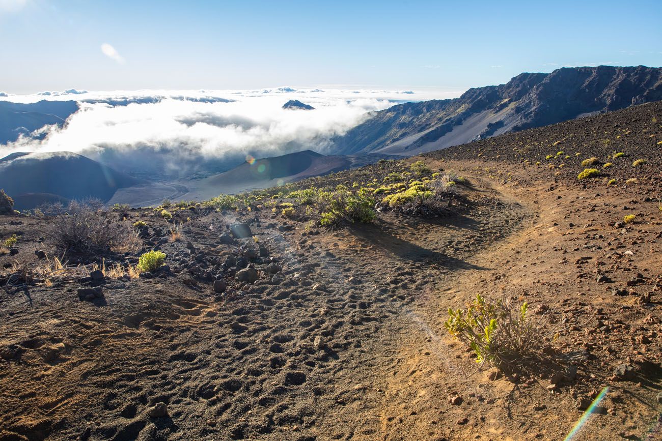 Sliding Sands Trail Guide