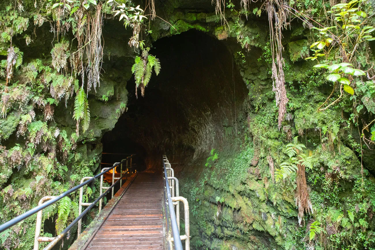 Thurston Lava Tube