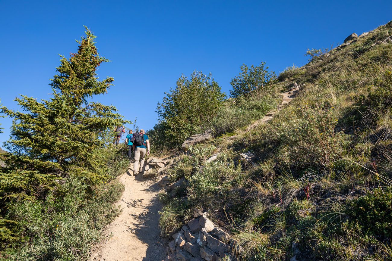 Top of the Trail