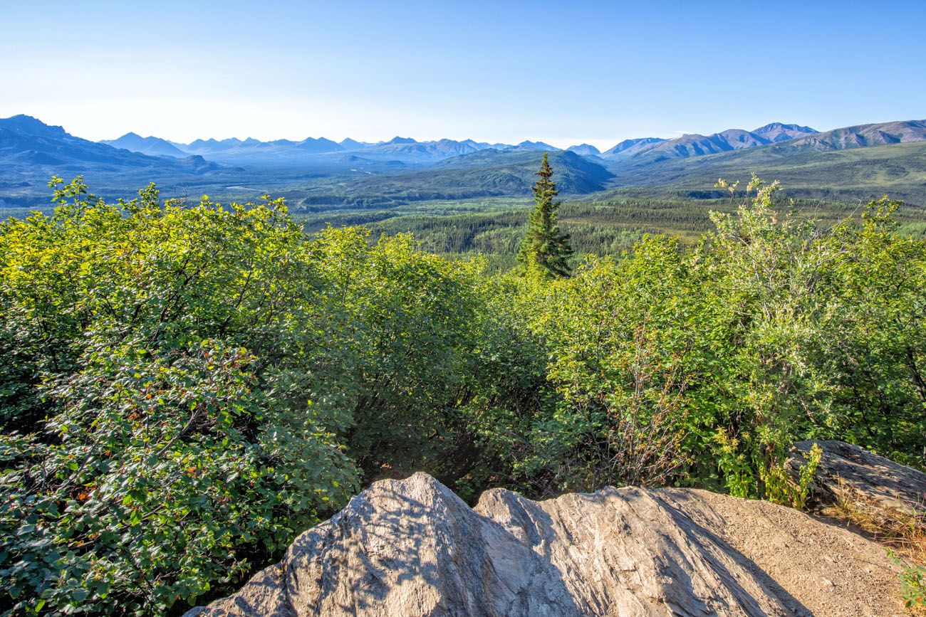 View from Healy Trail