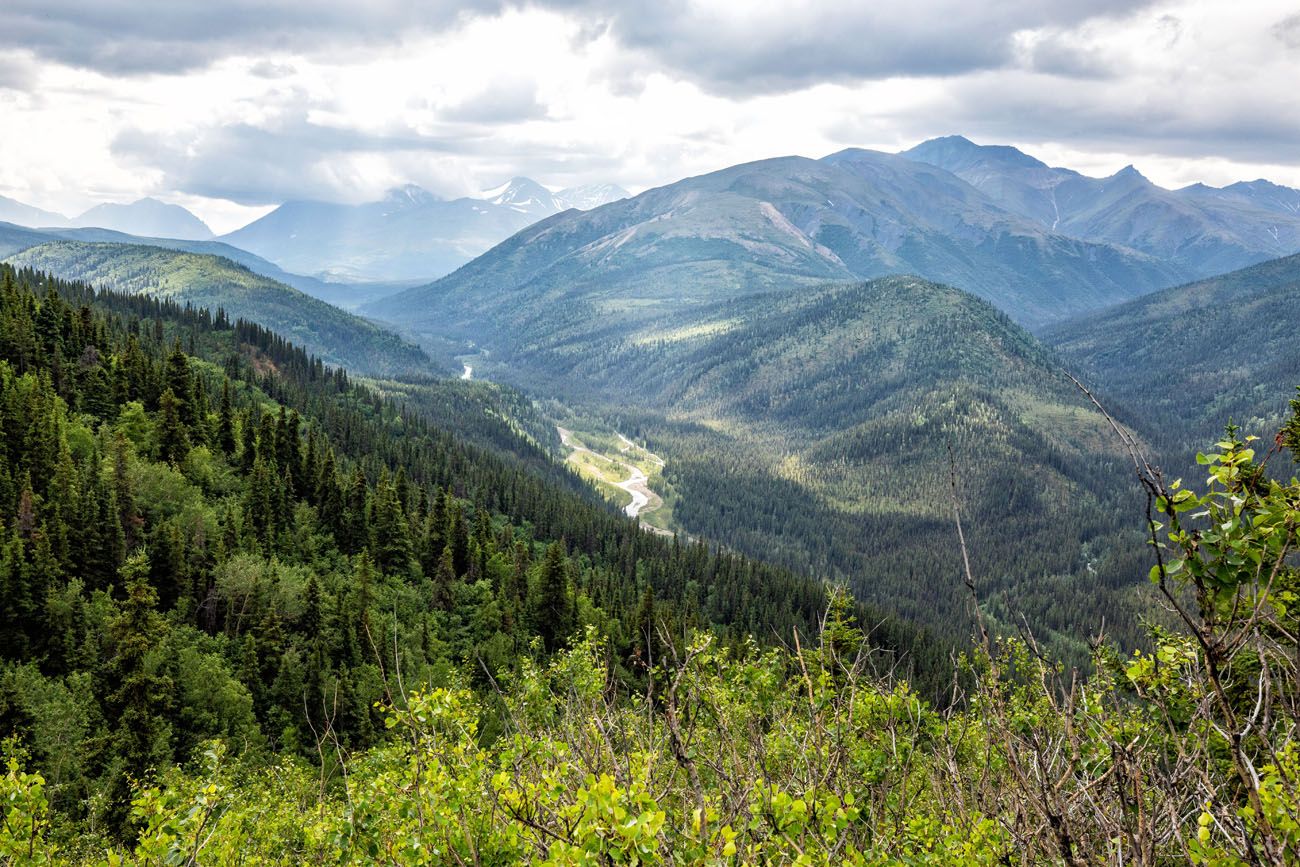 View of Denali Triple Lakes Trail