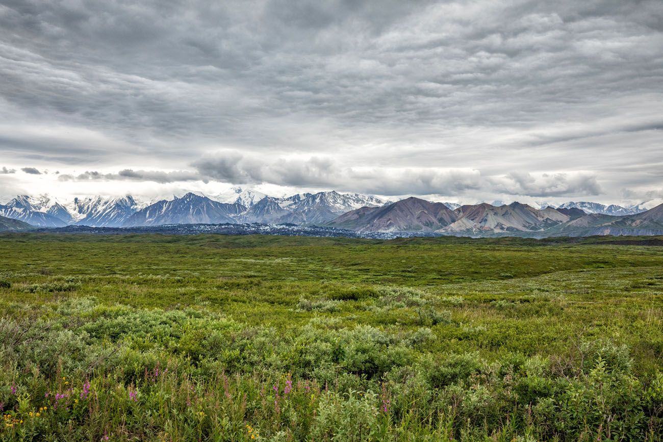 Alaska Range with Clouds things to do on Denali Park Road