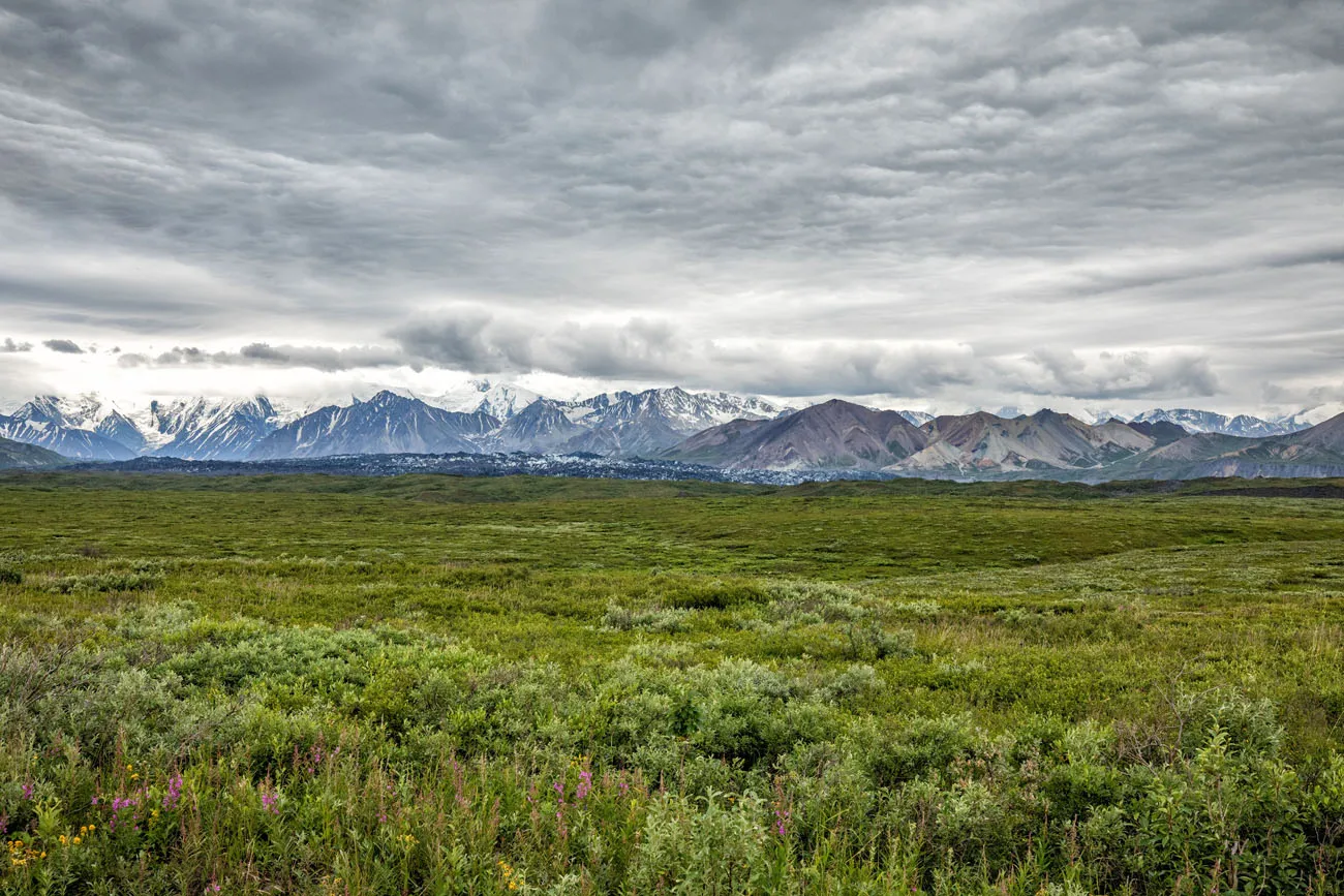 Alaska Range with Clouds things to do on Denali Park Road