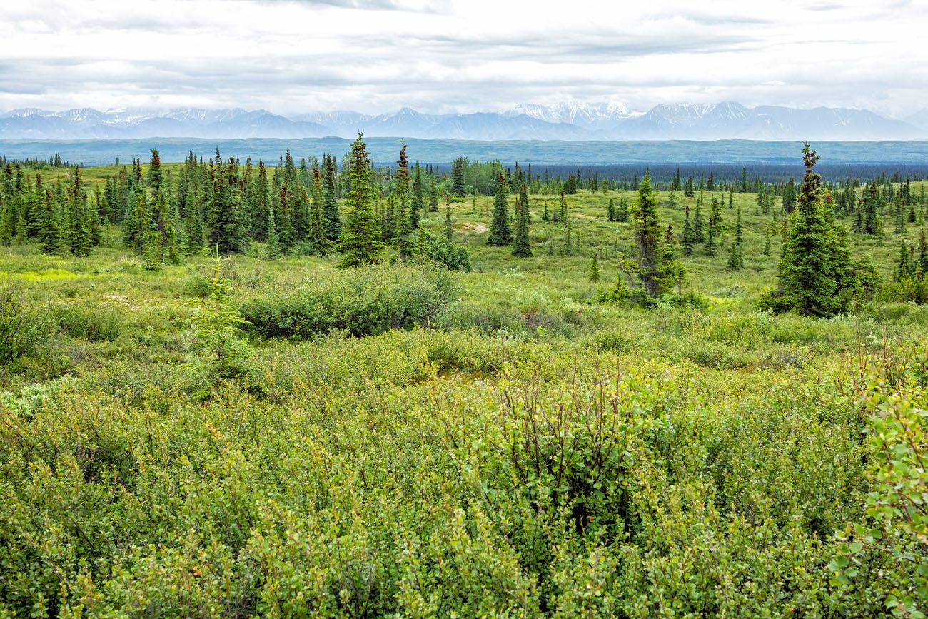 Alaska Range