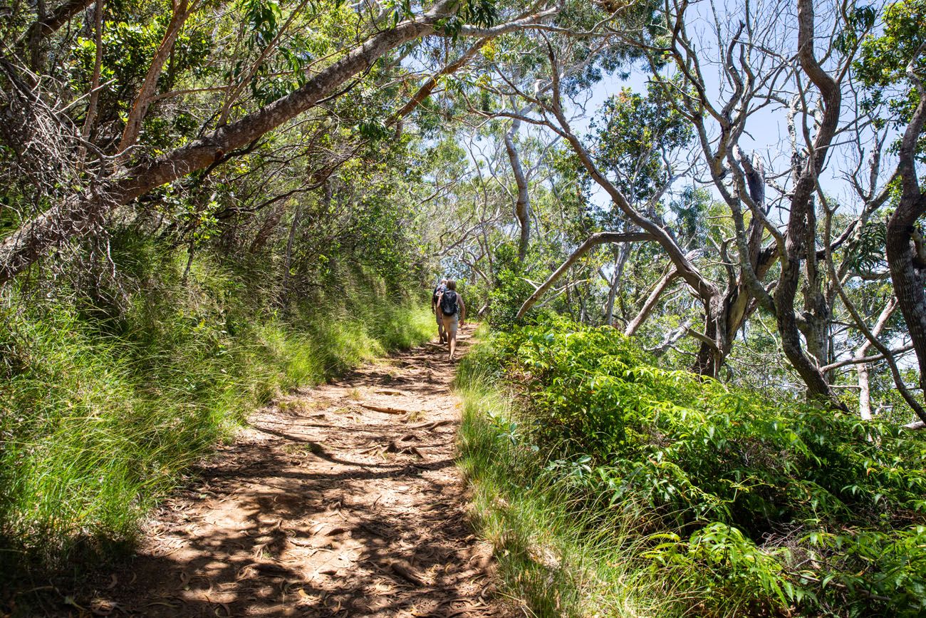 Awaawapuhi Trail Photo