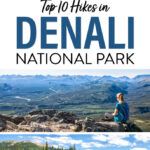 Best Hikes Denali National Park