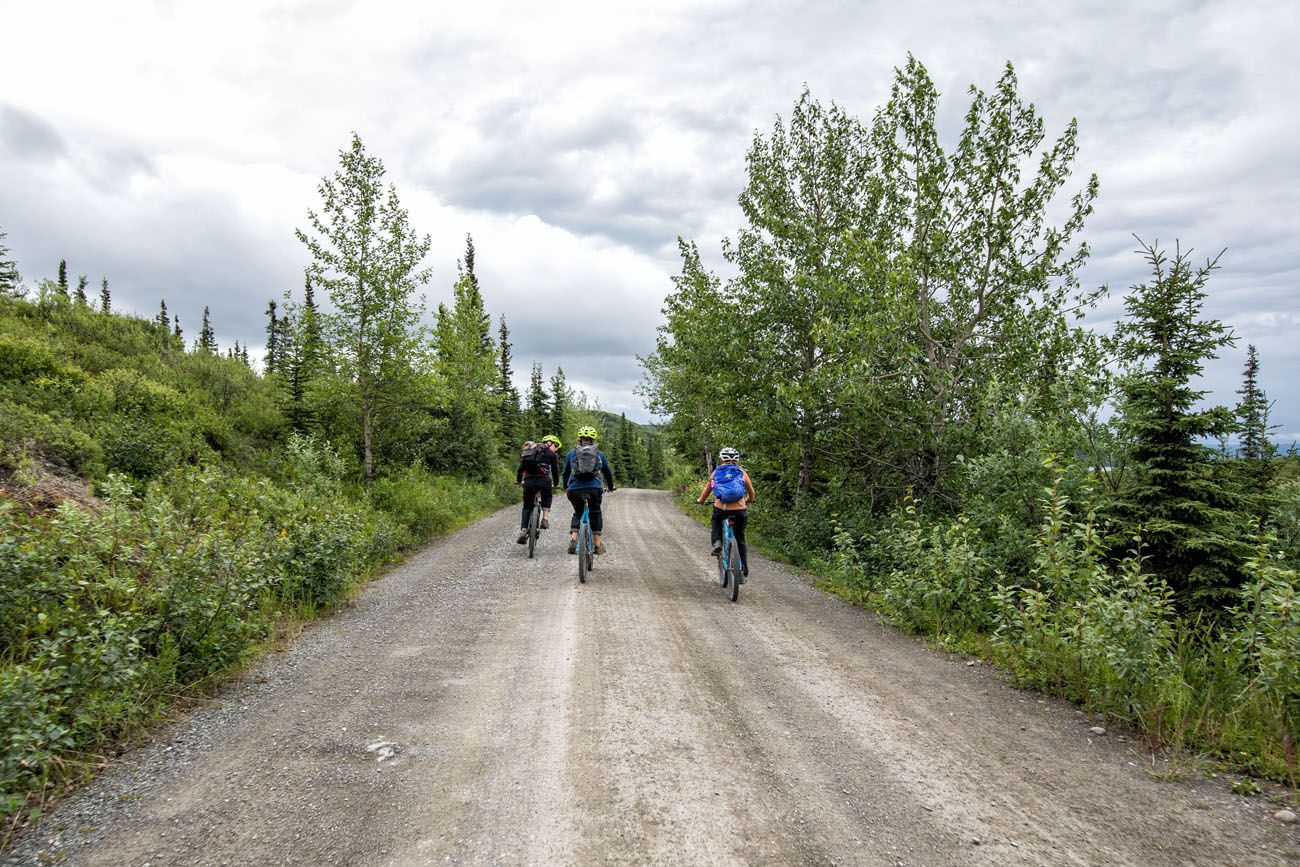 Biking Denali Park Road