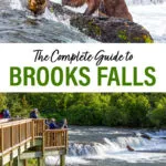 Brooks Falls Katmai National Park Alaska