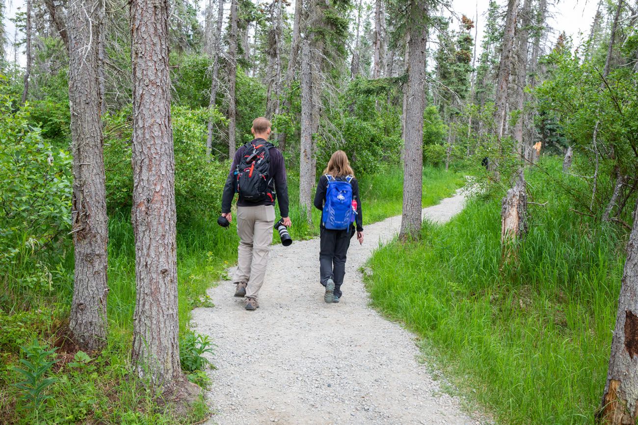 Brooks Falls Trail July