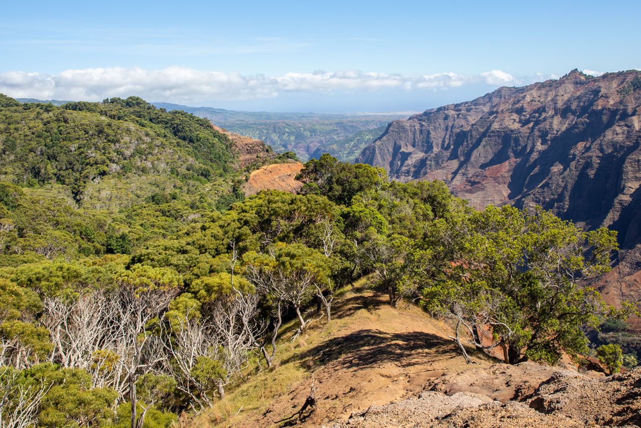 Cliff Trail View